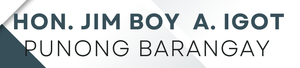 hon. jim boy a. igot